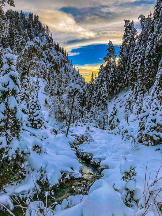 Winterwandern, einzigartige Natur