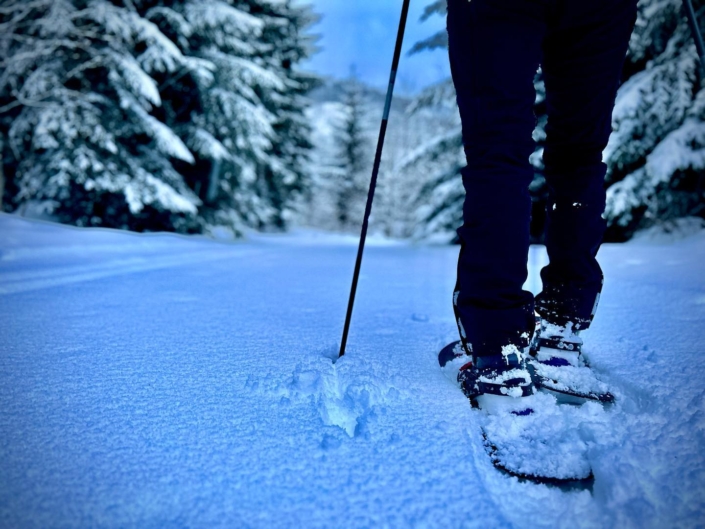 Schneeschuhwandern