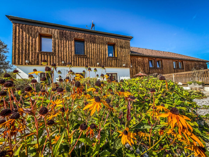 PferdeZeit Ferienvilla