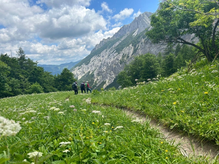 Wandern rund um Wildalpen, beliebte Wanderrouten
